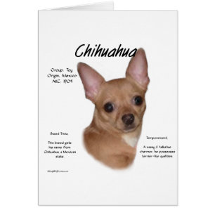 Chihuahua (smooth) History Design