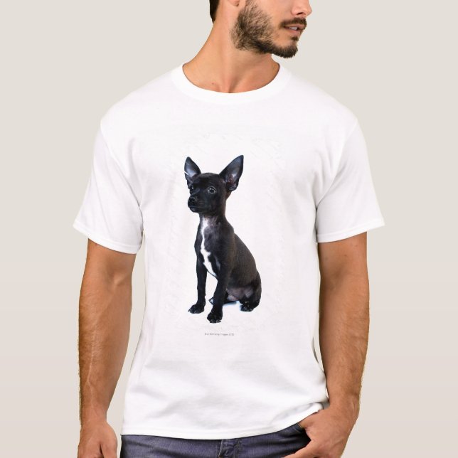 Chihuahua T-Shirt (Front)