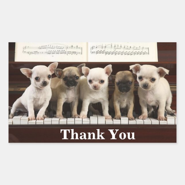 Chihuahua Thank You Puppy Dogs ( Chewawa Chiwawa ) Rectangular Sticker (Front)