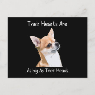 Chihuahua Their Hearts Are As Big As Their Heads Postcard