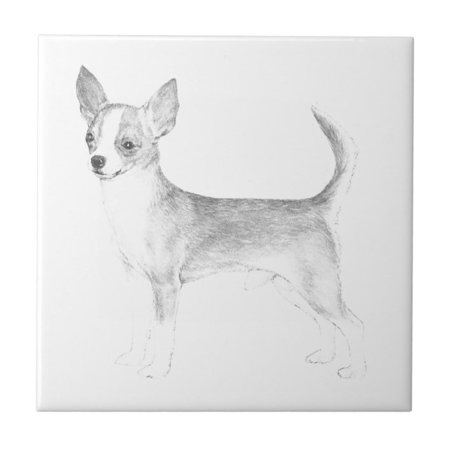 Chihuahua Tile (Front)