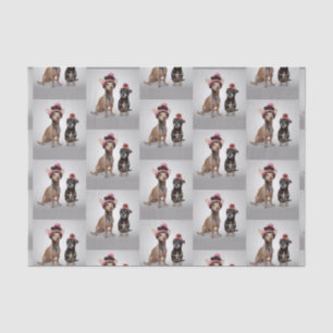 Chihuahua Tissue Paper