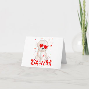 chihuahua valentines day 2023 - cute maltese dog l card