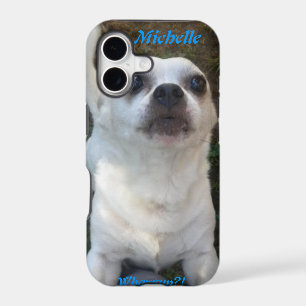 Chihuahua Whazzup? iPhone 5 case