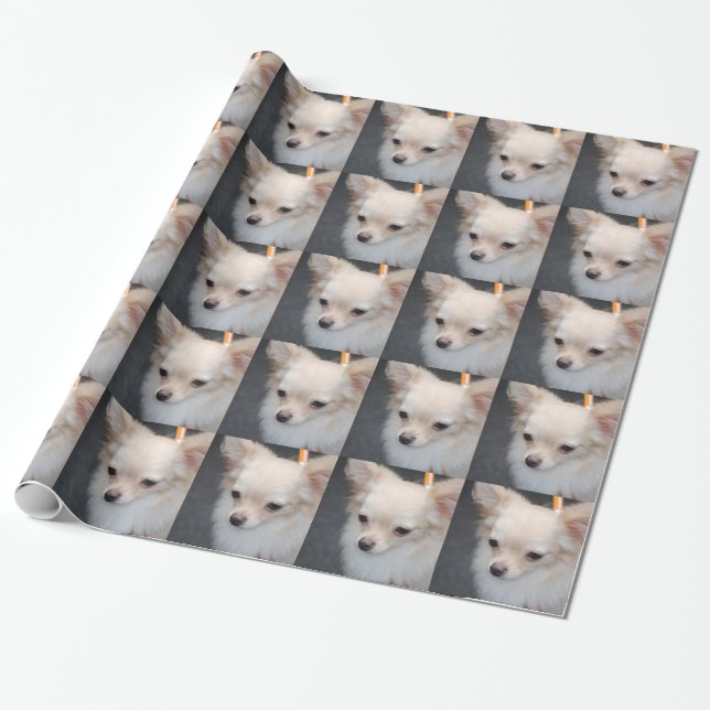 Chihuahua Wrapping Paper (Unrolled)