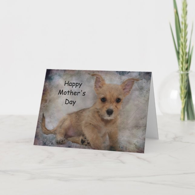 Chihuahua/Yorkie Puppy Card (Front)