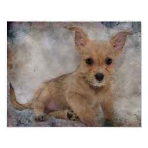 Chihuahua/Yorkie Puppy Photo Print