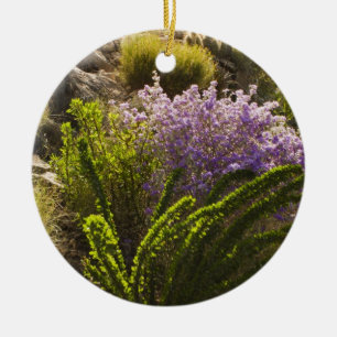 Chihuahuan desert plants in bloom ceramic tree decoration