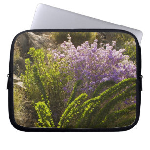 Chihuahuan desert plants in bloom laptop sleeve