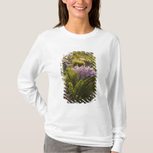 Chihuahuan desert plants in bloom T-Shirt