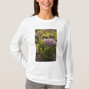 Chihuahuan desert plants in bloom T-Shirt