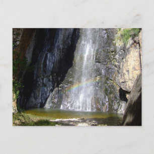 Chihuahuan Desert scene 03 Postcard