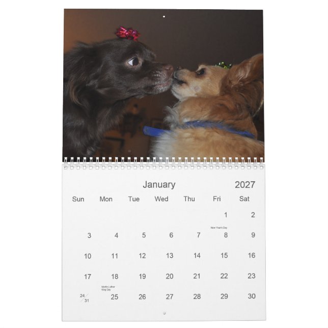 Chihuahua's Calendar (Jan 2027)