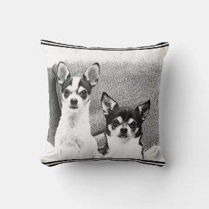 Chihuahua's Cushion