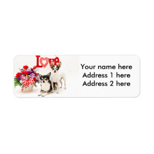 Chihuahua's, Flowers and Love
