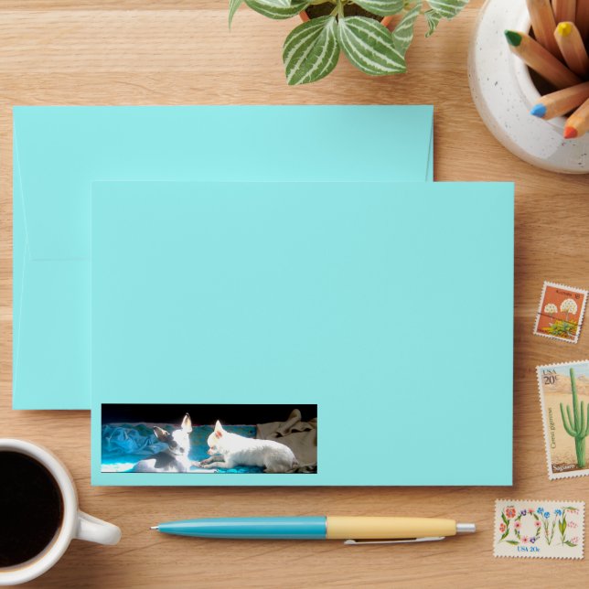 Chihuahuas in Love Greeting Card Envelopes (Desk)