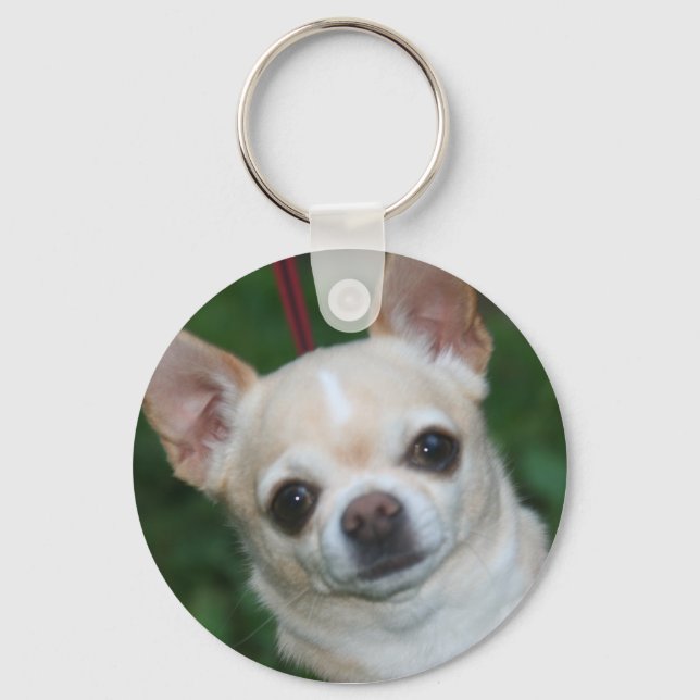chihuahuas key ring (Front)