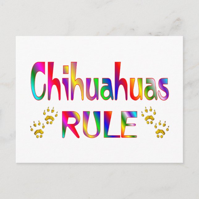 Chihuahuas Rule Postcard (Front)