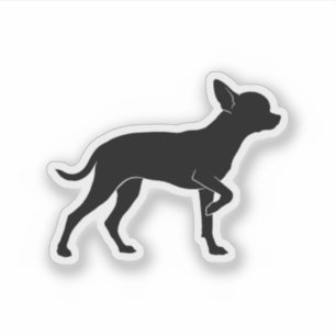 Chihuahueño