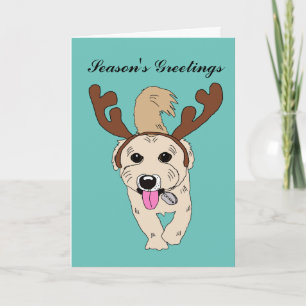 Chiko the rescue dog holiday card