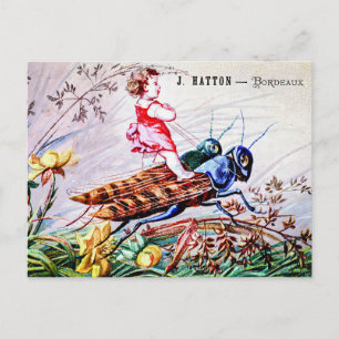 Child Riding Grasshoppers Postcard