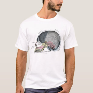 Child Skull with colour T-Shirt
