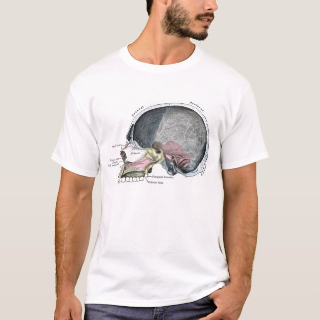 Child Skull with colour T-Shirt (Front)