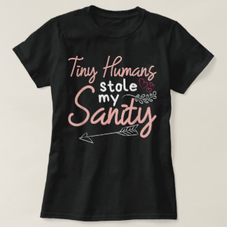 Childcare Provider Daycare Teacher Stole My Sanity T-Shirt
