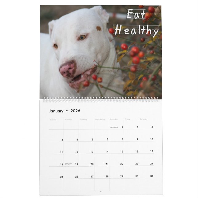 Childhood Lessons of Life by Kahuna Luna Calendar (Jan 2026)