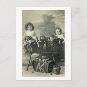Children in Vegetable Baskets 1906 Vintage Postcard