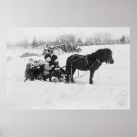 Children on Pony Drawn Sled Photograph