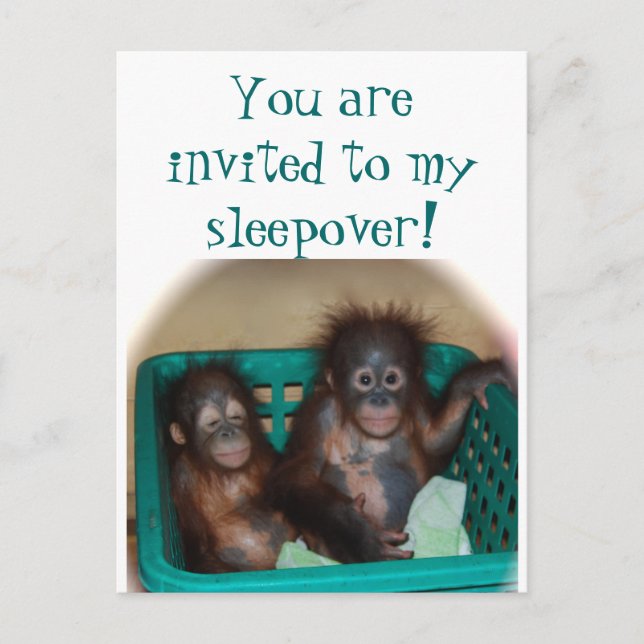 Children 's Party  Sleepover Invitation (Front)
