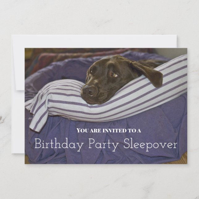 Children's Birthday Party Sleepy Dog Sleepover Invitation (Front)