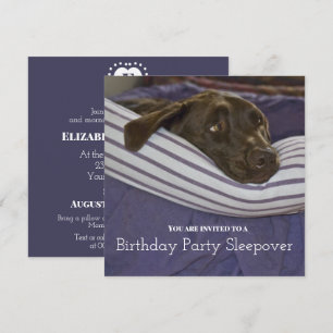 Children's Birthday Party Sleepy Dog Sleepover Invitation