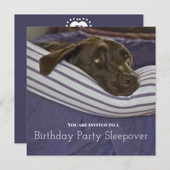 Children's Birthday Party Sleepy Dog Sleepover Invitation (Front/Back)