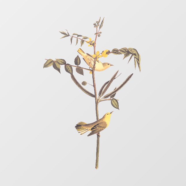 Children's Warbler Bird (Sheet)