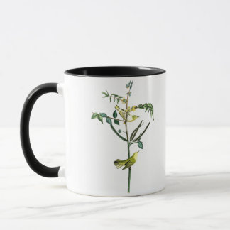 Children's Warbler John Audubon Birds of America Mug