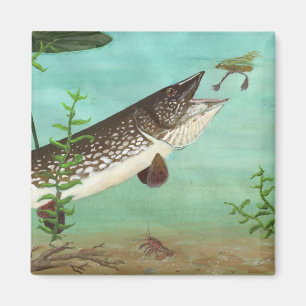 Children's Winning Artwork: northern pike Magnet