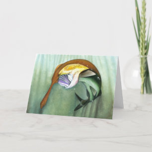 Children's Winning Artwork: paddlefish Holiday Card