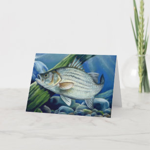 Children's Winning Artwork: white bass Holiday Card