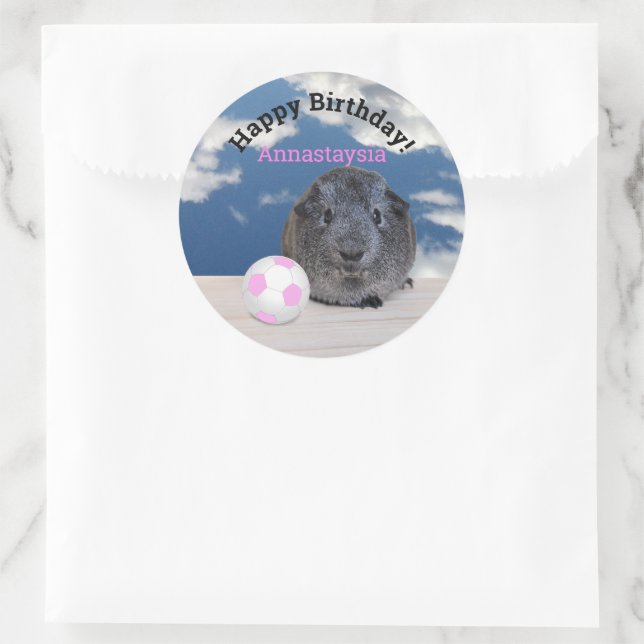 Child's Happy Birthday Guinea Pig Pink Soccer Ball Classic Round Sticker (Bag)