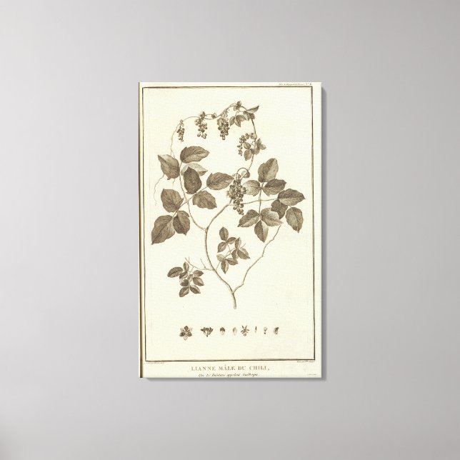 Chile 8 canvas print (Front)