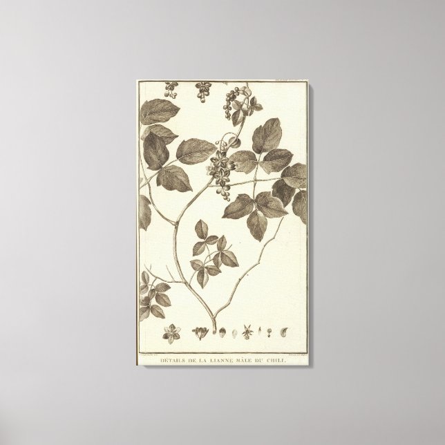 Chile 9 canvas print (Front)