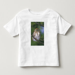 Chile, Aysen. Juvenile Autral Pygmy Owl Toddler T-Shirt