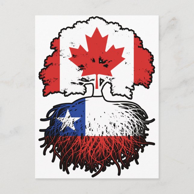 Chile Chilean Canadian Canada Tree Roots Flag Postcard (Front)