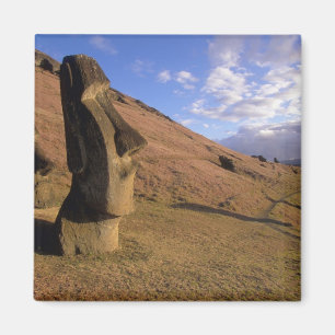 Chile, Easter Island. Hillside with Moai Magnet