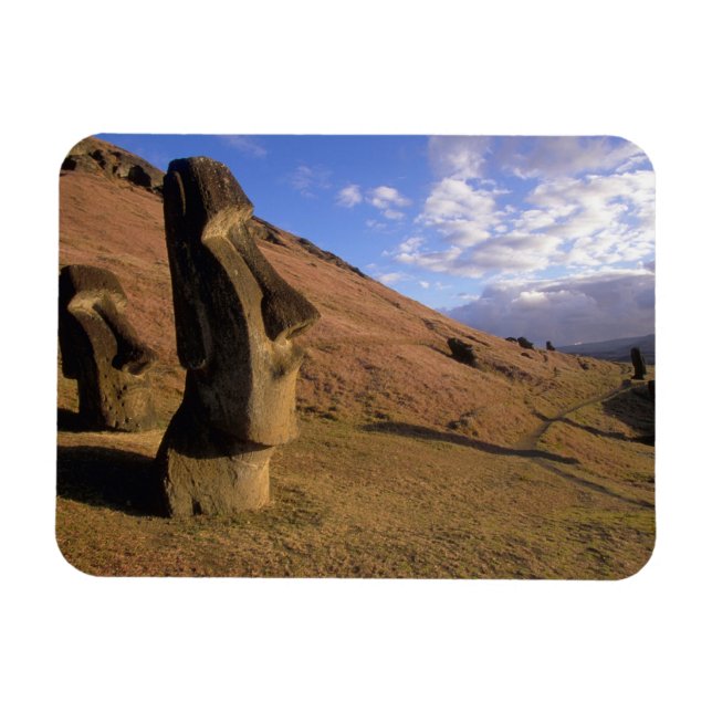 Chile, Easter Island. Hillside with Moai Magnet (Horizontal)