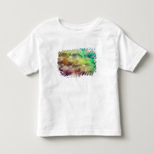 Chile - Landscape Aerial Shot   South America Toddler T-Shirt