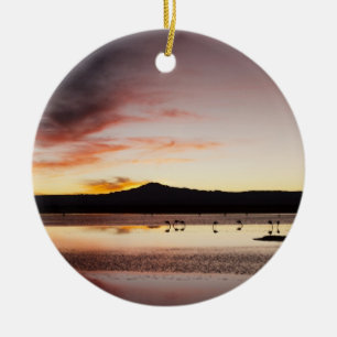 Chilean Flamingo Ceramic Tree Decoration