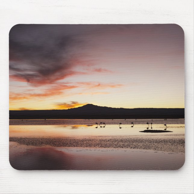 Chilean Flamingo Mouse Pad (Front)